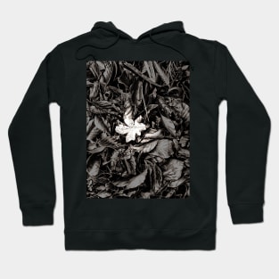 Stand Out From The Crowd Hoodie